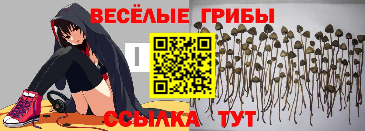NBOMe Кизляр